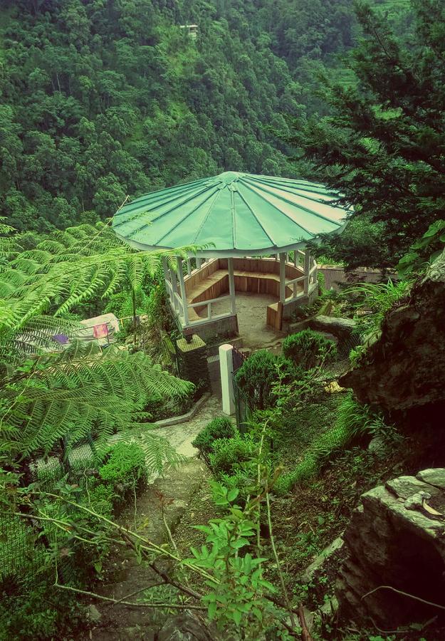 Enchanted Forest Farmstay กังต็อก ภายนอก รูปภาพ
