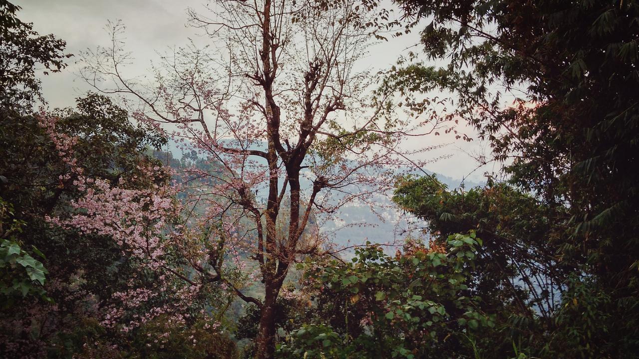 Enchanted Forest Farmstay กังต็อก ภายนอก รูปภาพ