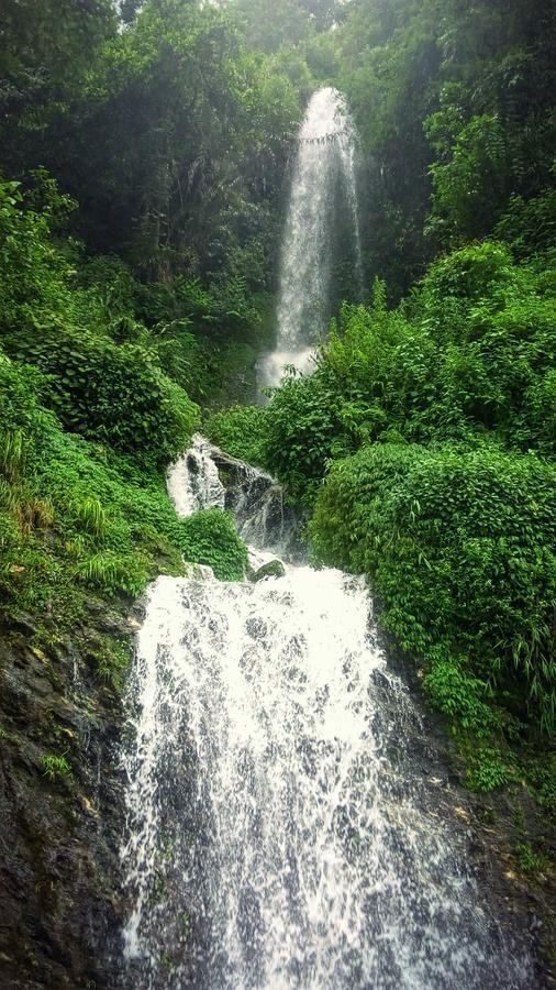 Enchanted Forest Farmstay กังต็อก ภายนอก รูปภาพ