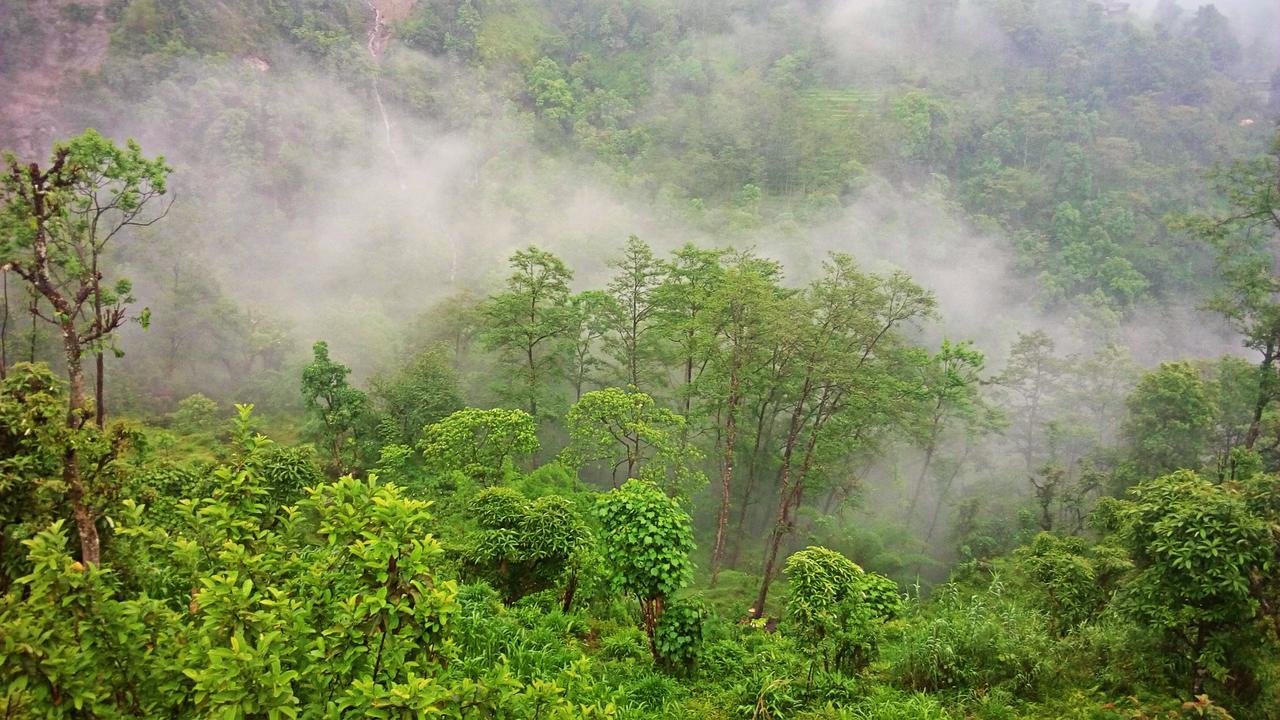 Enchanted Forest Farmstay กังต็อก ภายนอก รูปภาพ