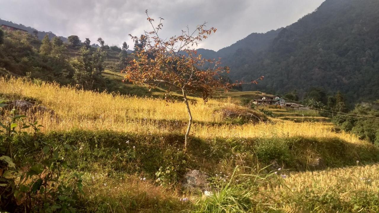 Enchanted Forest Farmstay กังต็อก ภายนอก รูปภาพ
