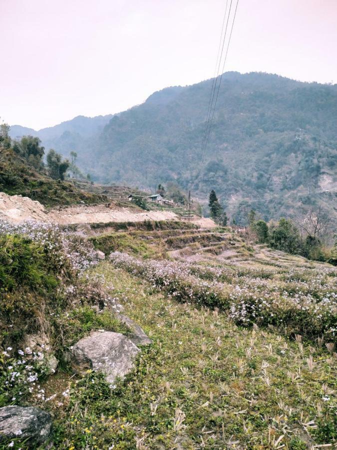 Enchanted Forest Farmstay กังต็อก ภายนอก รูปภาพ