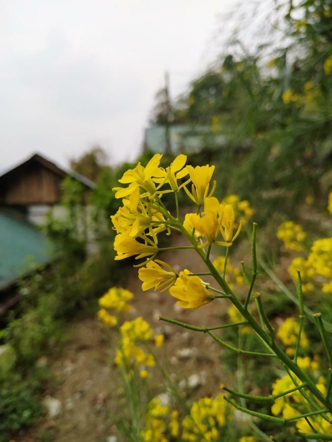 Enchanted Forest Farmstay กังต็อก ภายนอก รูปภาพ