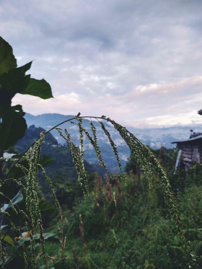 Enchanted Forest Farmstay กังต็อก ภายนอก รูปภาพ