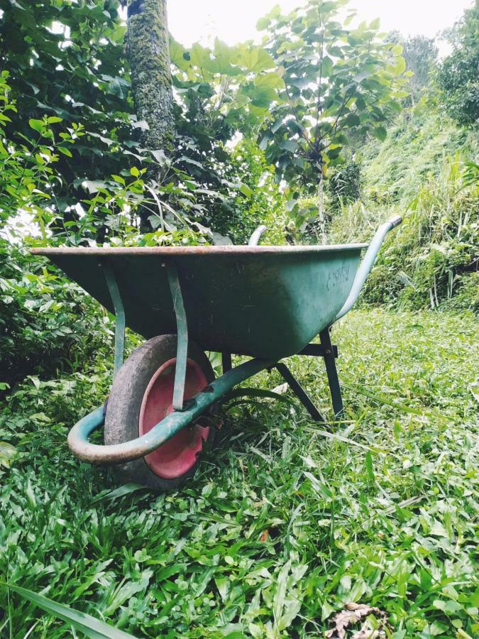 Enchanted Forest Farmstay กังต็อก ภายนอก รูปภาพ